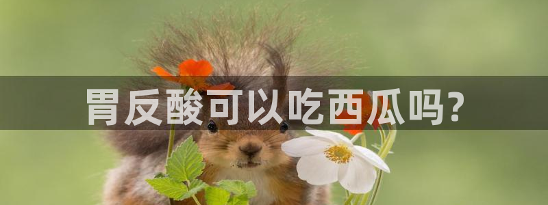 51吃瓜全网更新最快点:胃反酸可以吃西瓜吗?