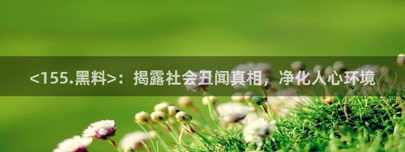 吃瓜:<155.黑料>:揭露社会丑闻真相,净化人心环境
