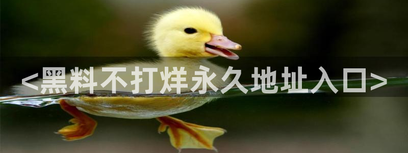 51吃瓜网每日榜单:<黑料不打烊永久地址入口>