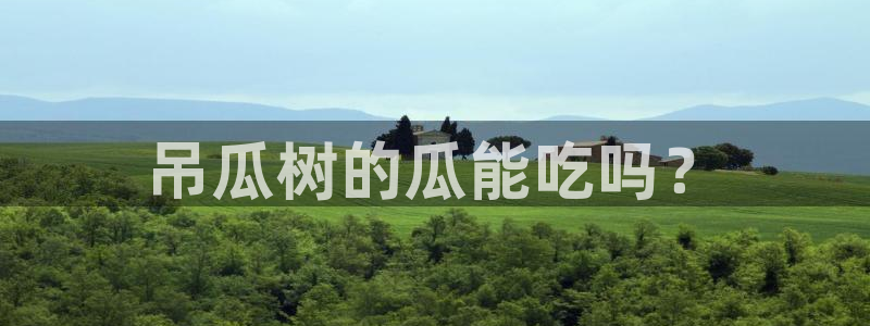 吃瓜吃到自己死讯:吊瓜树的瓜能吃吗?